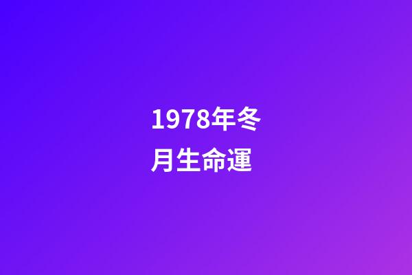 1978年冬月生命運 (1978年3月生命運)-第1張-觀點-玄機派